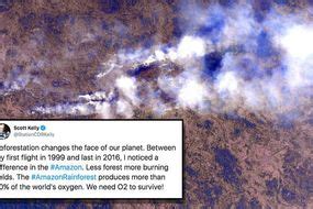 pictures from amazon forest fires are fake